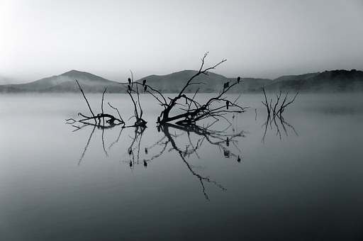 AMICO   ANCESTRALE  IL   SILENZIO