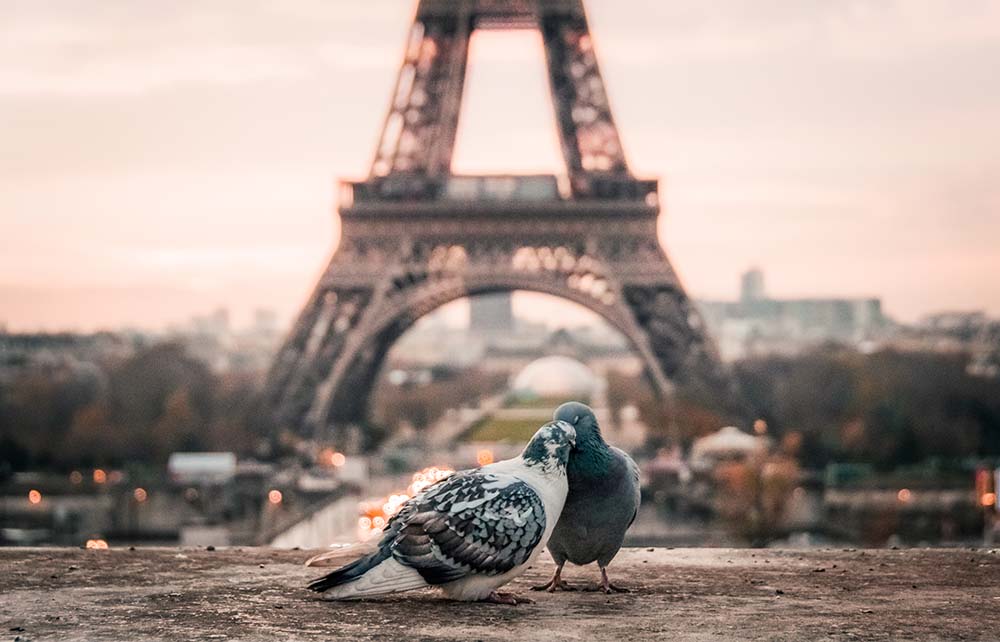 LE   CIEL   DE    PARIS