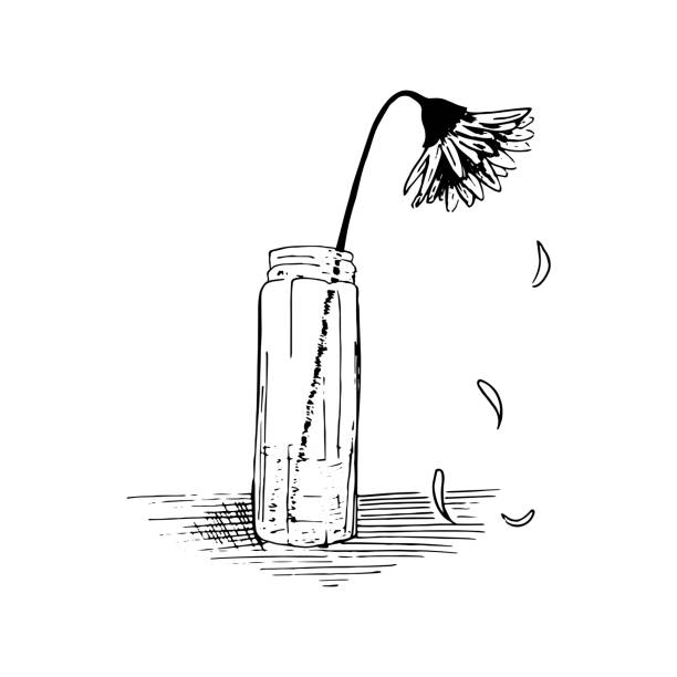 Wilted flower sketch. Plant stands in a glass vase, the petals crumble. Hand drawn outline, vector illustration. Isolated on white